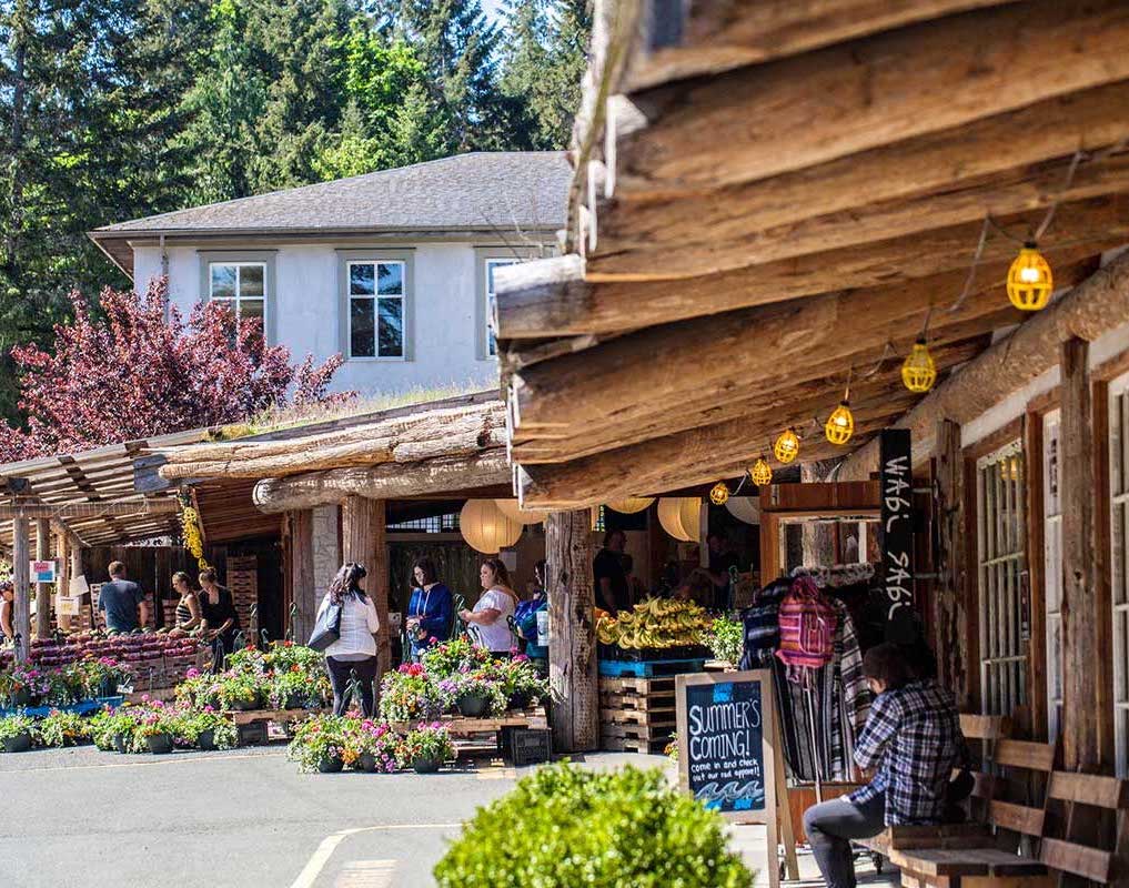 coombs-market-2 family-fishing